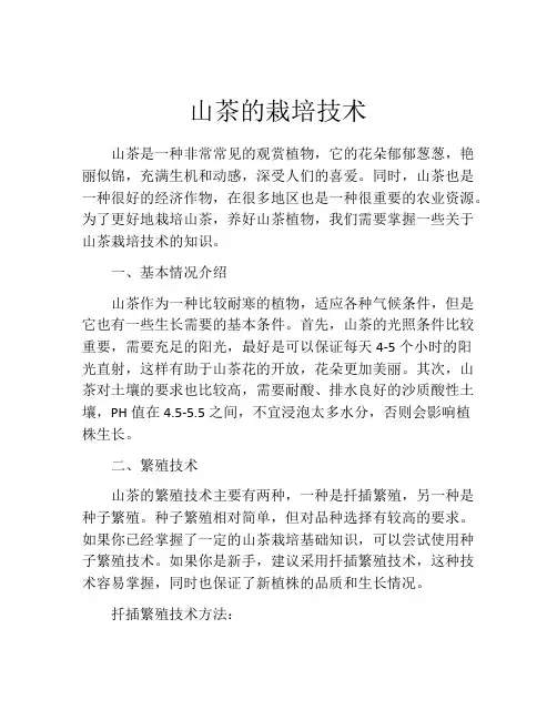 山茶的栽培技术