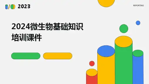 2024微生物基础知识培训课件