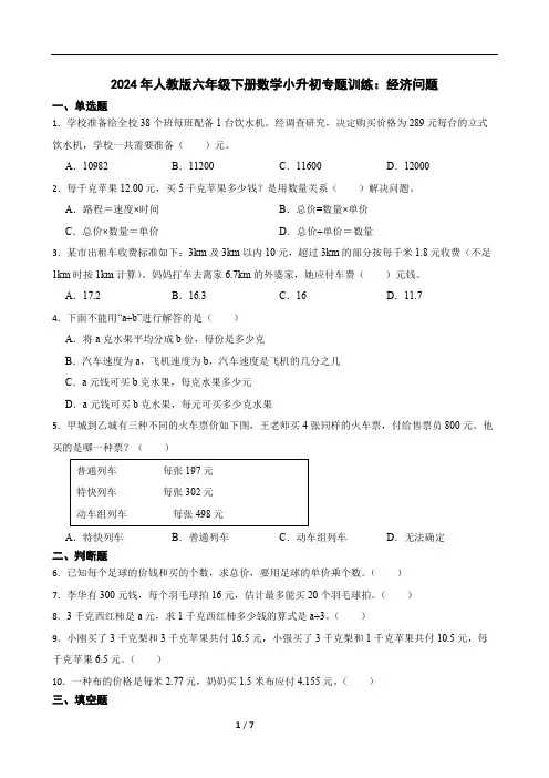 2024年人教版六年级下册数学小升初专题训练：经济问题(含答案)