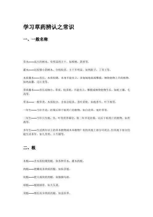 学习草药辩识要领