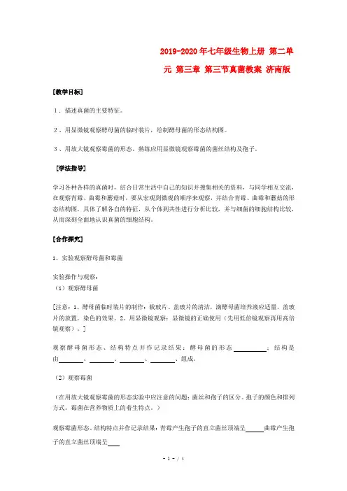 2019-2020年七年级生物上册 第二单元 第三章 第三节真菌教案 济南版