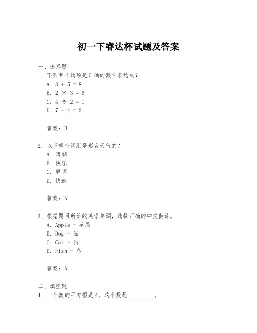 初一下睿达杯试题及答案