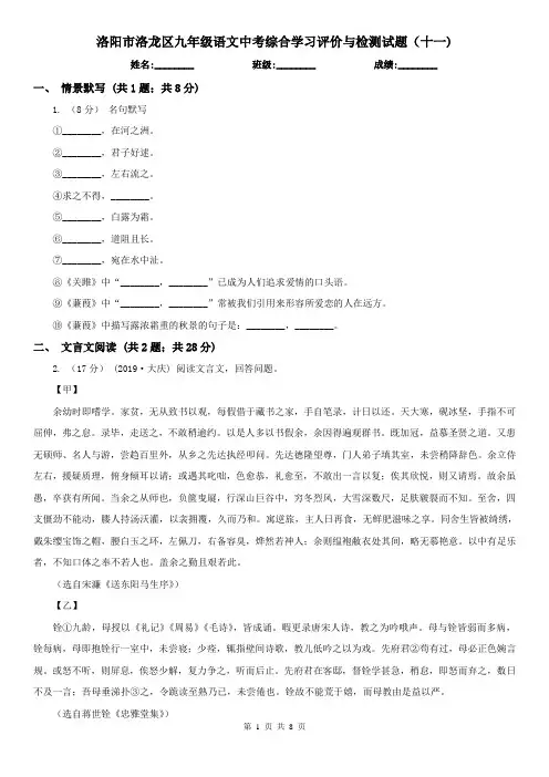 洛阳市洛龙区九年级语文中考综合学习评价与检测试题(十一)