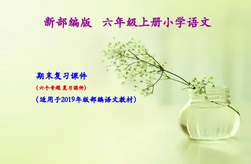 六年级上册语文期末复习课件(按专题分类复习)PPT