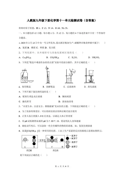 人教版九年级下册化学第十一单元检测试卷(含答案)