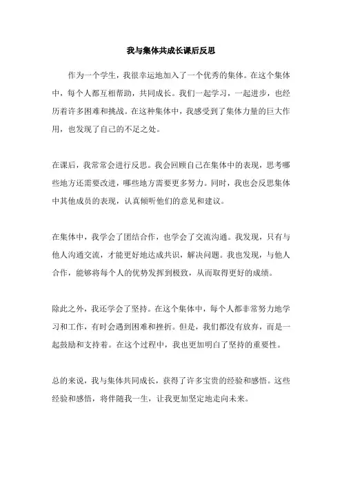 我与集体共成长课后反思