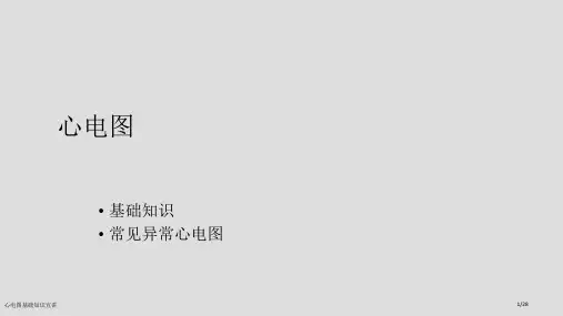 心电图基础知识宣讲