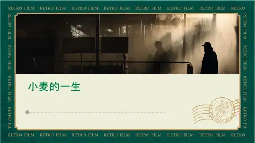 小麦的一生大班(课件