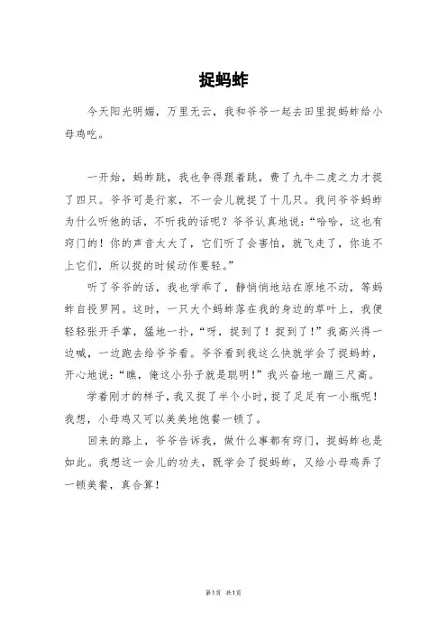 捉蚂蚱_三年级作文