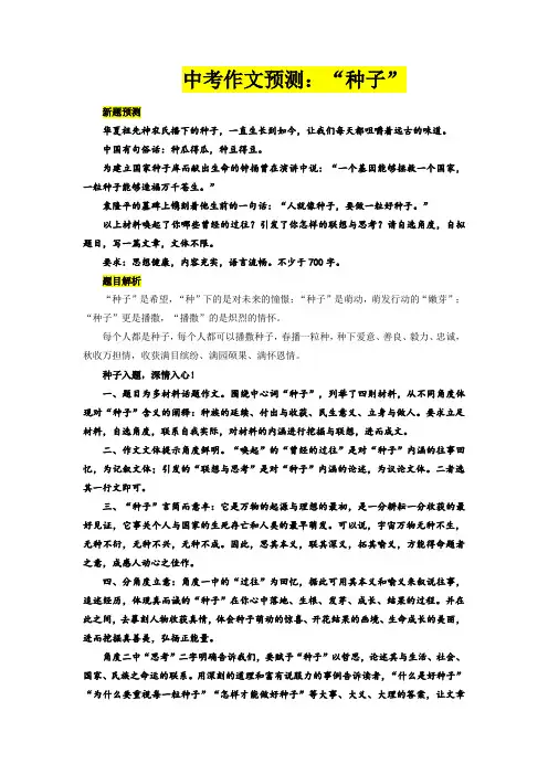 中考作文预测：“种子”