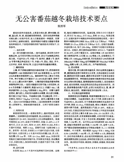 无公害番茄越冬栽培技术要点