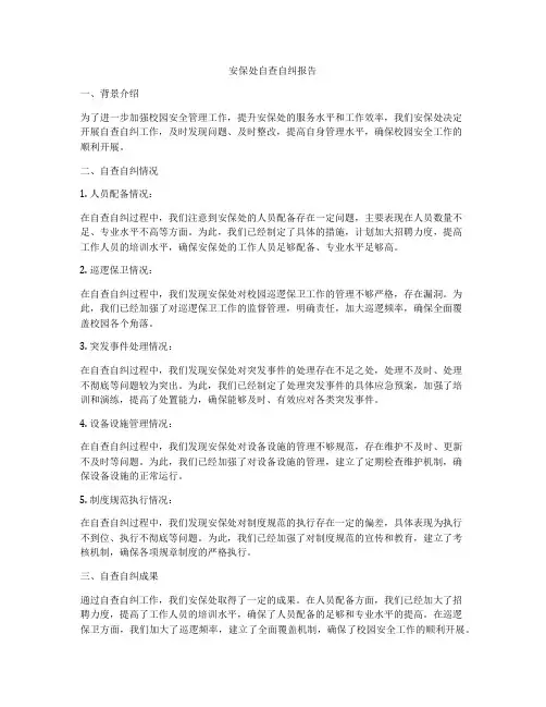安保处自查自纠报告