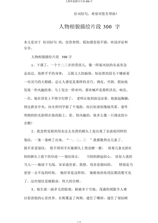 人物外貌描写片段300字