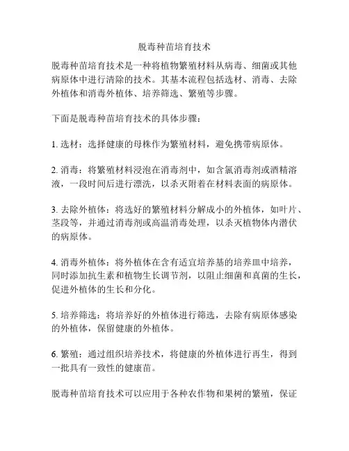 脱毒种苗培育技术