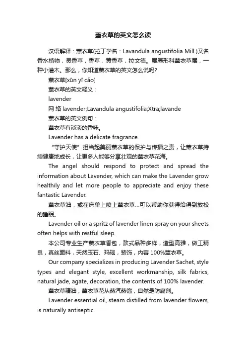 薰衣草的英文怎么读