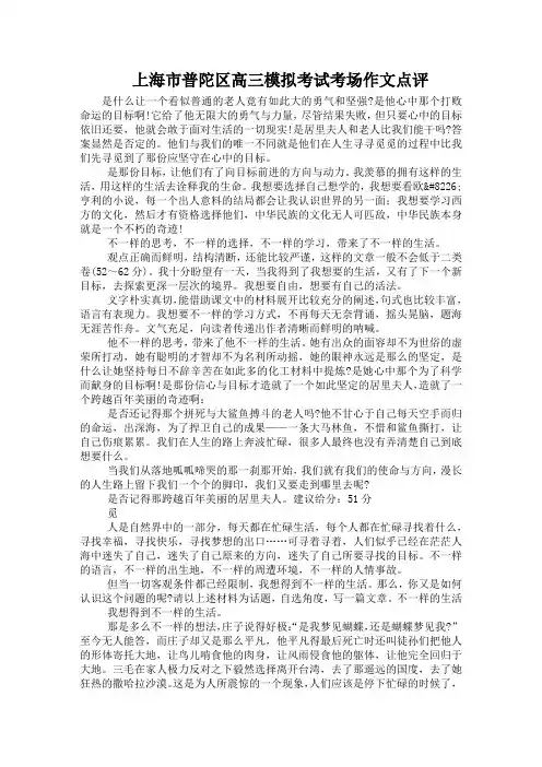 上海市普陀区高三模拟考试考场作文点评