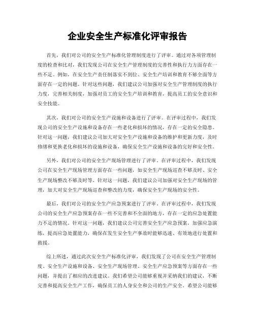 企业安全生产标准化评审报告