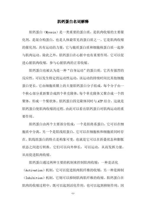 肌钙蛋白名词解释