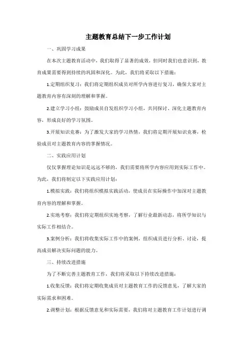 主题教育总结下一步工作计划