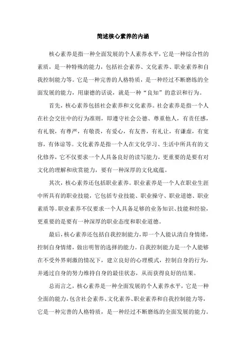 简述核心素养的内涵