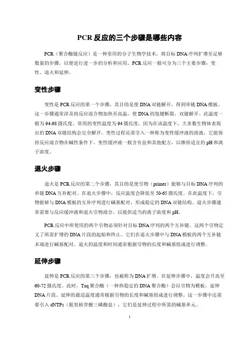 pcr反应的三个步骤是哪些内容