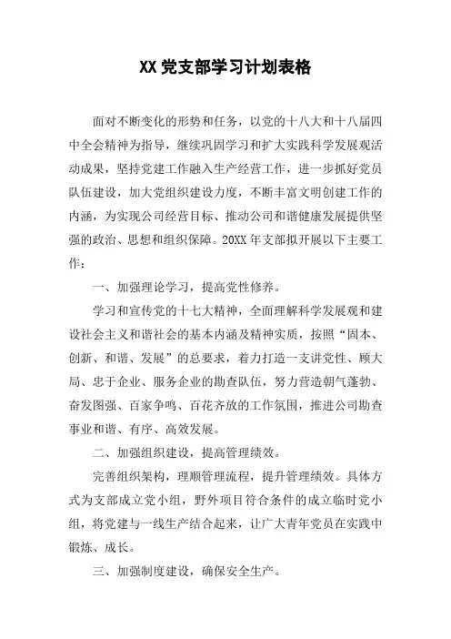 XX党支部学习计划表格