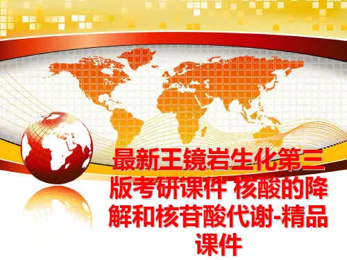 最新王镜岩生化第三版考研课件 核酸的降解和核苷酸代谢-精品课件