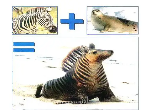 人教版高中生物必修二基因工程及其应用(共25张PPT)