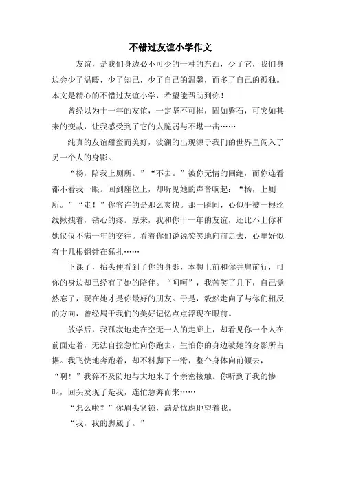 不错过友谊小学作文