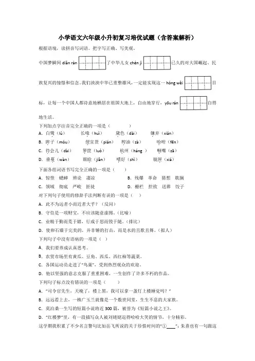 小学语文六年级小升初复习培优试题(含答案解析)