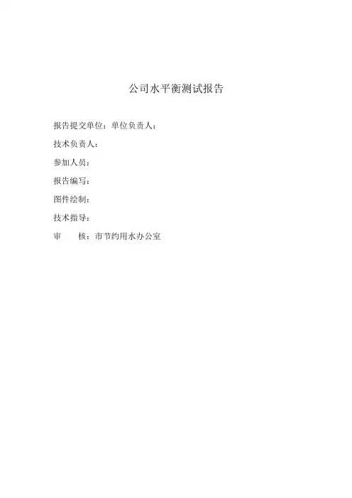 公司水平衡测试报告