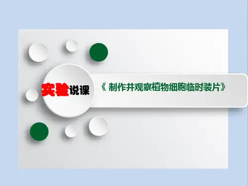 人教版生物七年级上册《制作并观察植物细胞临时装片实验课》说课课件
