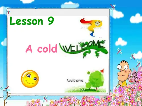 Lesson 9 A cold welcome(课件)新概念英语第二册