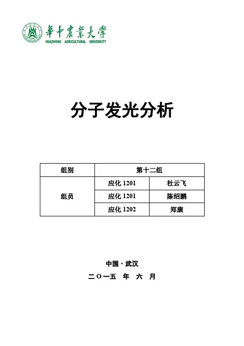 分子发光分析试卷
