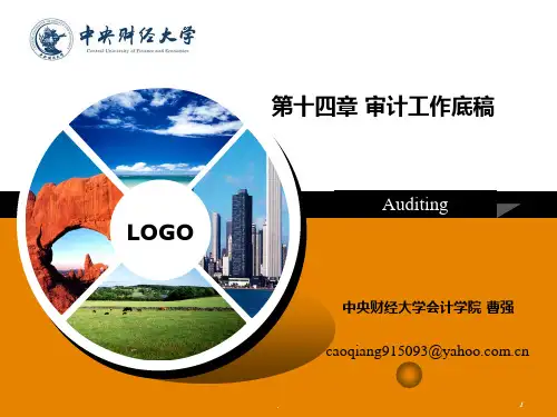 十四审计工作底稿PPT课件