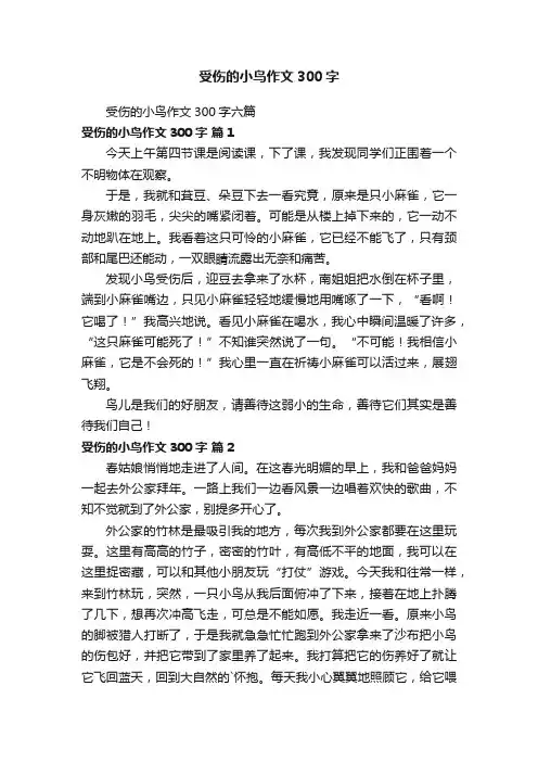受伤的小鸟作文300字六篇