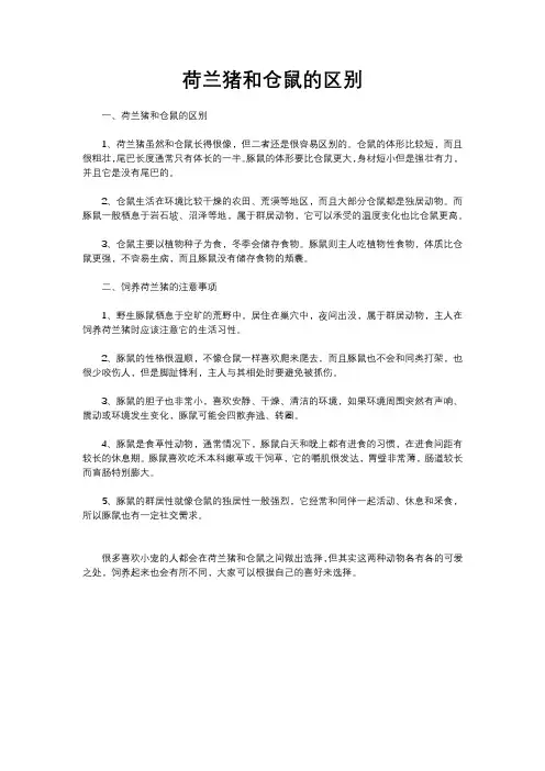 荷兰猪和仓鼠的区别