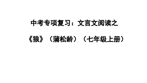 中考语文专项：文言文阅读《狼》