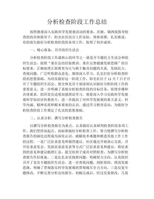 分析检查阶段工作总结
