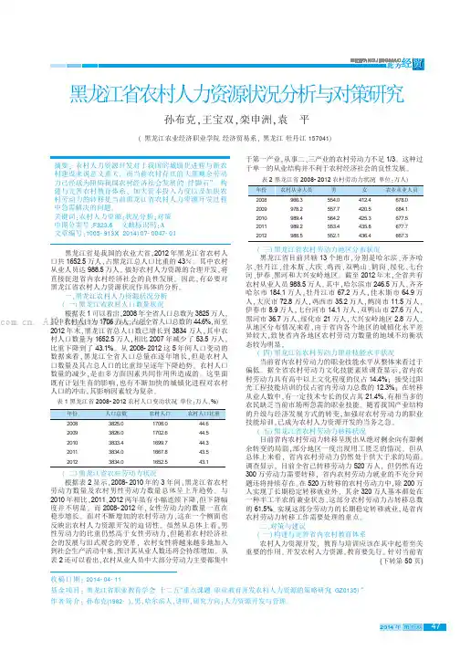 黑龙江省农村人力资源状况分析与对策研究