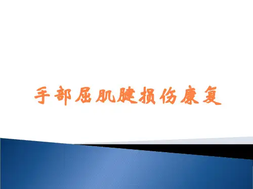 手部屈肌腱损伤康复