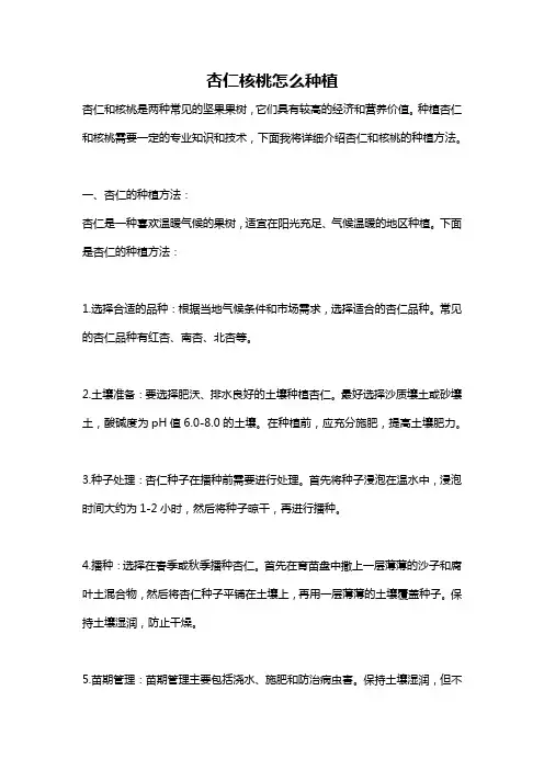 杏仁核桃怎么种植