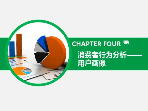 商务数据分析与应用 第4章 消费者行为分析--用户画像