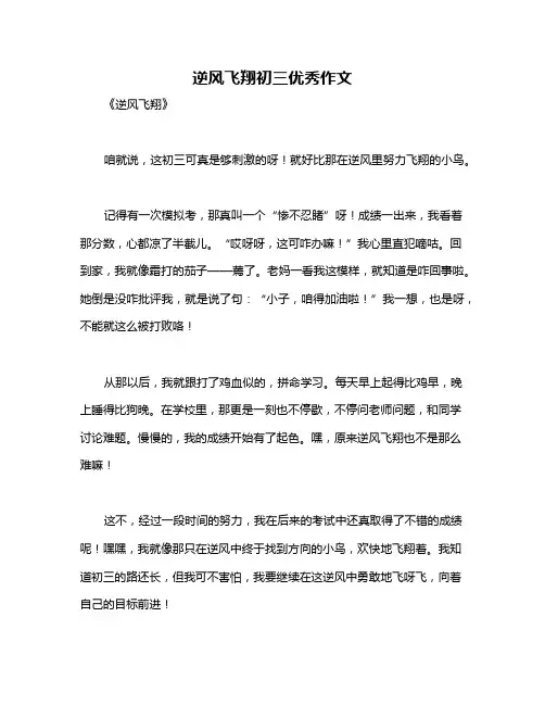 逆风飞翔初三优秀作文