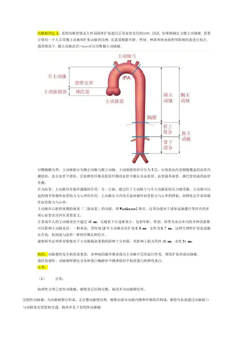 腹主动脉