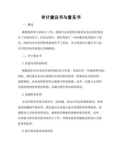 审计建议书与意见书