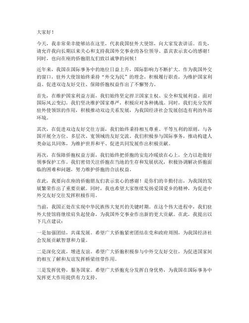 驻外大使馆发言稿范文