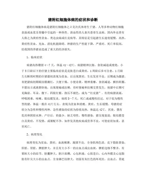 猪附红细胞体病的症状和诊断