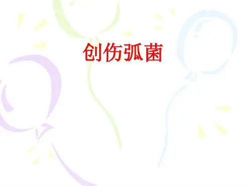 培训学习资料-创伤弧菌-2022年学习资料