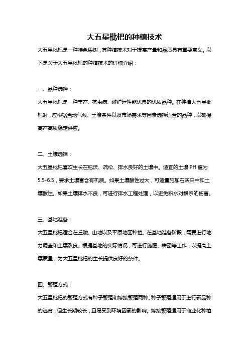 大五星枇杷的种植技术
